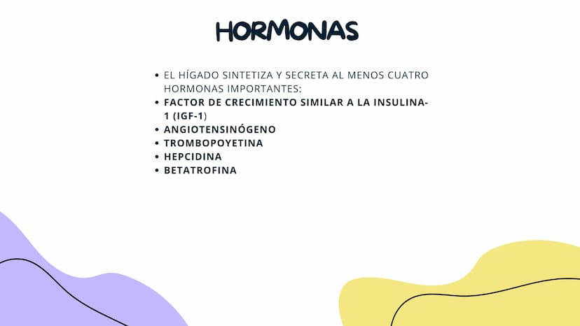 FISIOLOGIA
HIGADO
COMO GLANDULA DEFINCION
El hígado (hepar) es una glándula
anexa del sistema que vierte bilis,
producto de su secreción ext