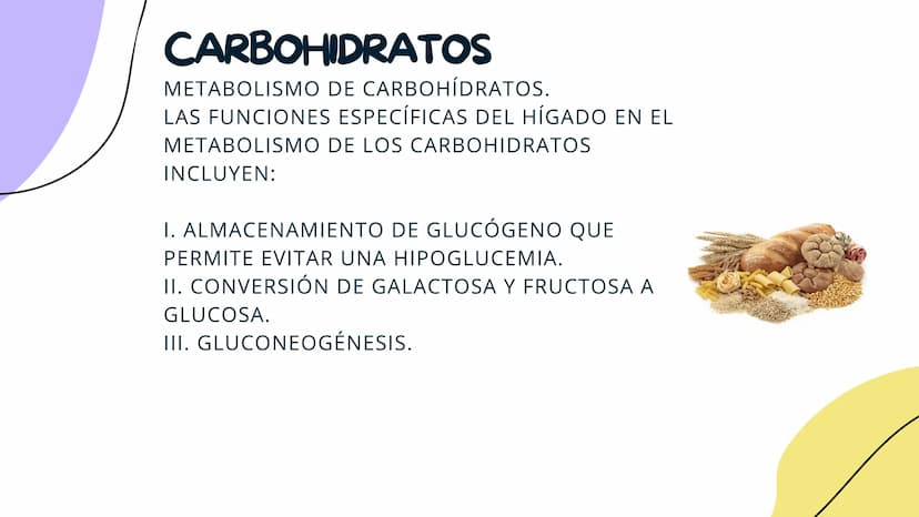 FISIOLOGIA
HIGADO
COMO GLANDULA DEFINCION
El hígado (hepar) es una glándula
anexa del sistema que vierte bilis,
producto de su secreción ext