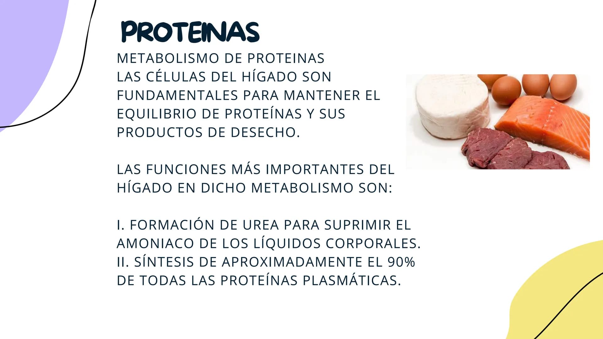 FISIOLOGIA
HIGADO
COMO GLANDULA DEFINCION
El hígado (hepar) es una glándula
anexa del sistema que vierte bilis,
producto de su secreción ext