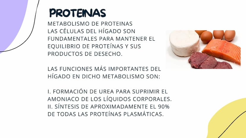 FISIOLOGIA
HIGADO
COMO GLANDULA DEFINCION
El hígado (hepar) es una glándula
anexa del sistema que vierte bilis,
producto de su secreción ext