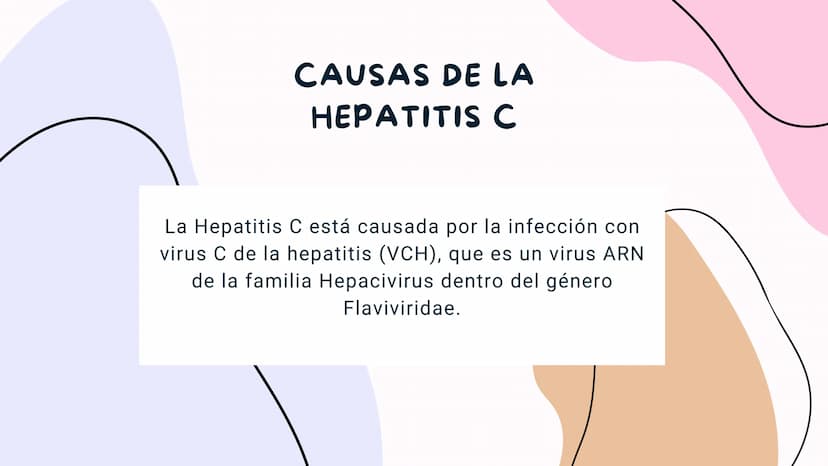 FISIOLOGIA
HIGADO
COMO GLANDULA DEFINCION
El hígado (hepar) es una glándula
anexa del sistema que vierte bilis,
producto de su secreción ext