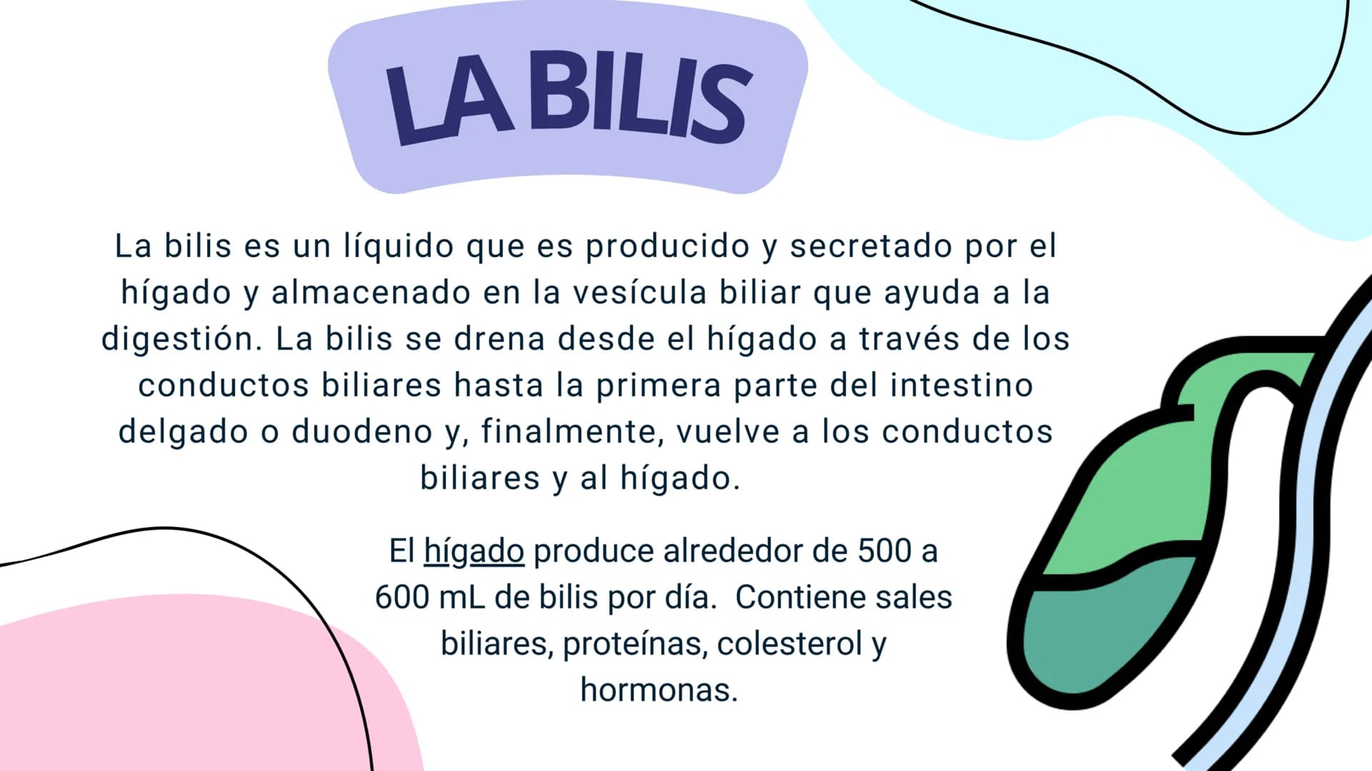 FISIOLOGIA
HIGADO
COMO GLANDULA DEFINCION
El hígado (hepar) es una glándula
anexa del sistema que vierte bilis,
producto de su secreción ext
