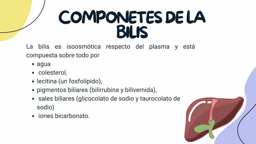 FISIOLOGIA
HIGADO
COMO GLANDULA DEFINCION
El hígado (hepar) es una glándula
anexa del sistema que vierte bilis,
producto de su secreción ext