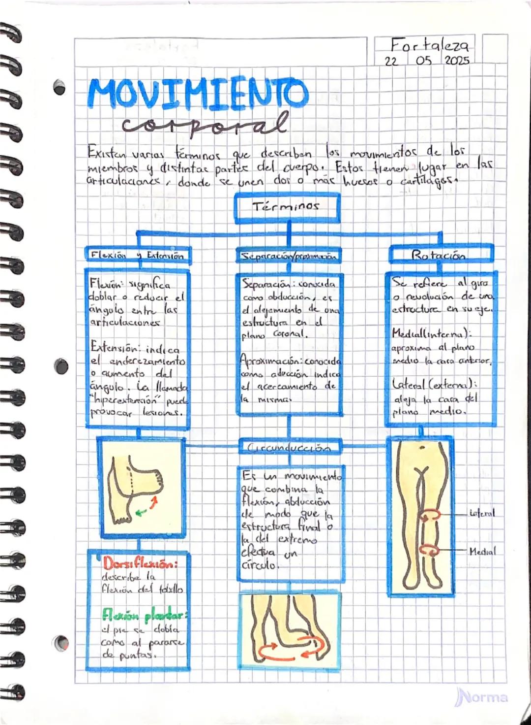 Movimientos Corporales del Cuerpo Humano