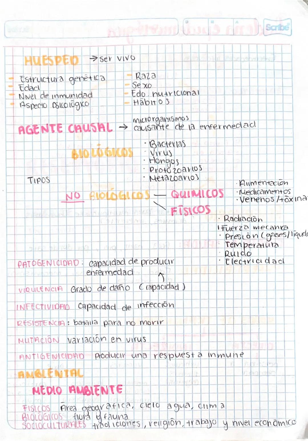 HUESPED ser vivo

Estructura genética
Raza
Elad
Sexo
Nivel de inmunidad
Edo nutricional
Aspecto DSColōgko
Habitos

microrganismos
Scribe
AGE