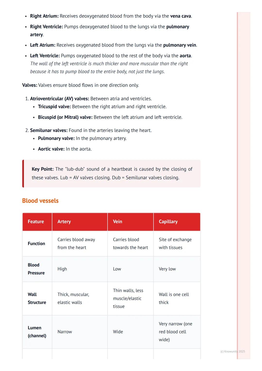 # The Circulatory System

An introduction to the circulatory system

The circulatory system is basically the body's transport network. Its m