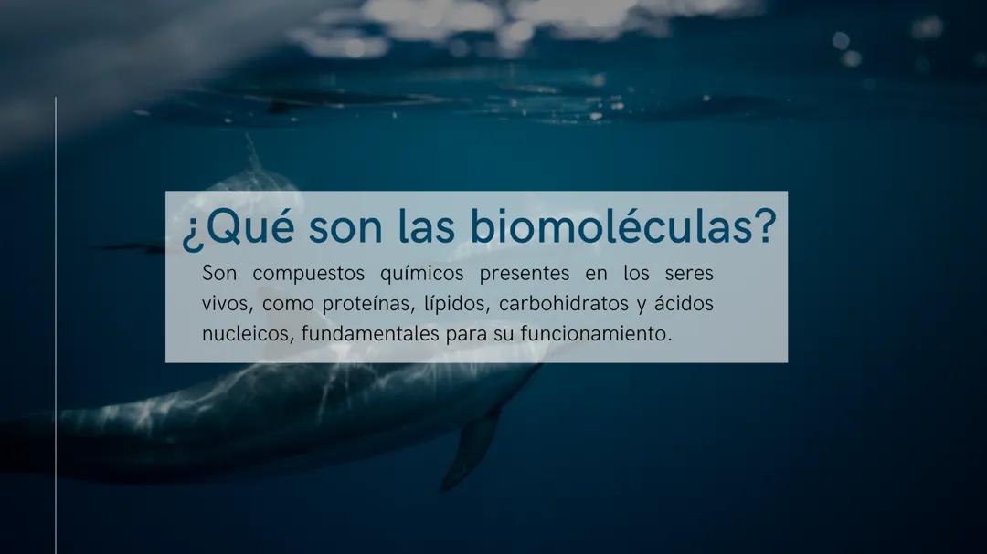 Introducción a las Biomoléculas: Componentes Clave de la Vida