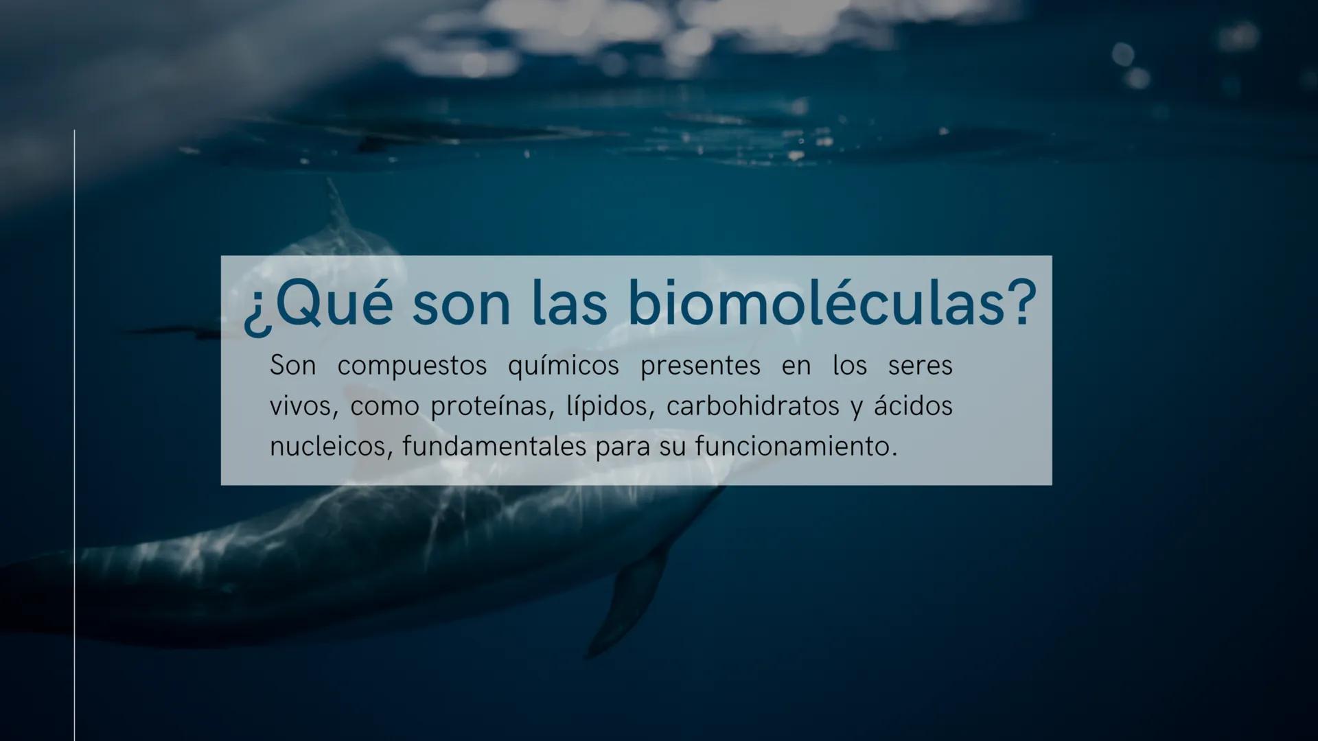 ¿Qué son las biomoléculas?
Son compuestos químicos presentes en los seres
vivos, como proteínas, lípidos, carbohidratos y ácidos
nucleicos, 