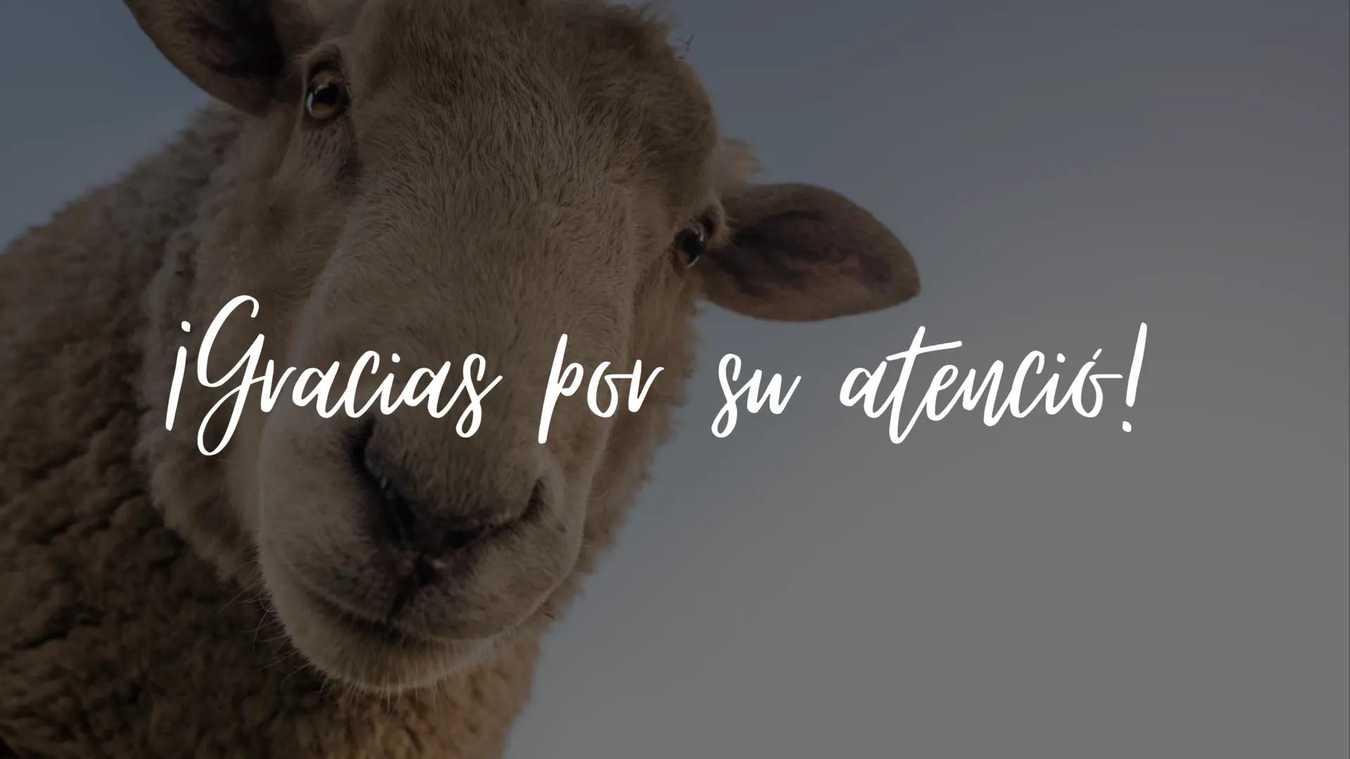 ¿Qué son las biomoléculas?
Son compuestos químicos presentes en los seres
vivos, como proteínas, lípidos, carbohidratos y ácidos
nucleicos, 