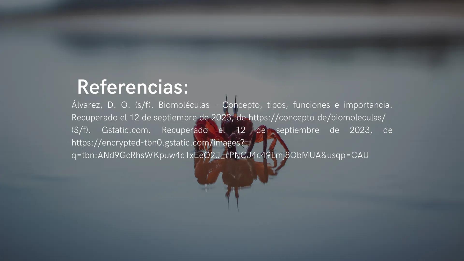 ¿Qué son las biomoléculas?
Son compuestos químicos presentes en los seres
vivos, como proteínas, lípidos, carbohidratos y ácidos
nucleicos, 