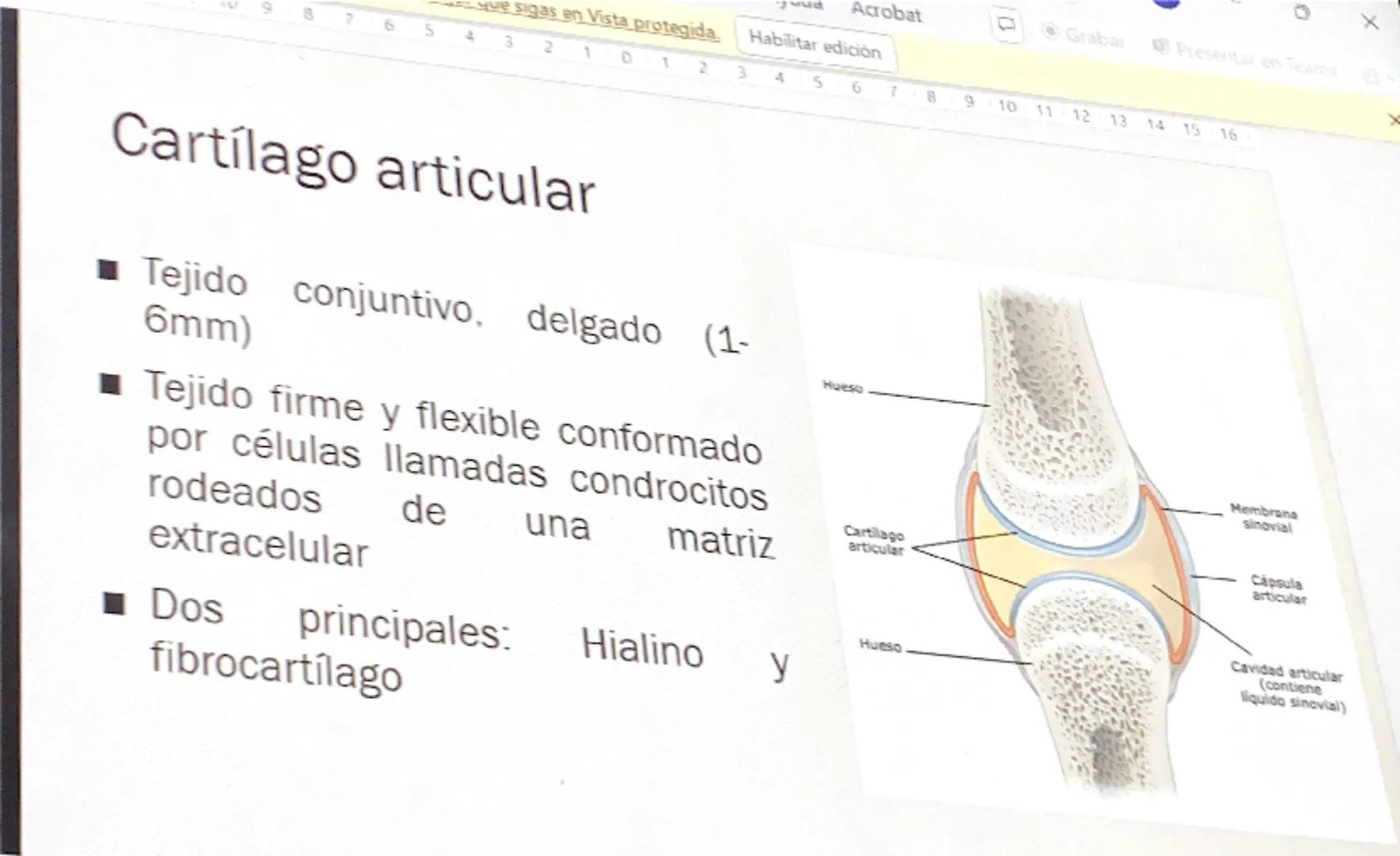Acrobat
que sigas en Vista protegida. Habilitar edición
9
8
76
S
4
3
210123
Grabar Presentar en Teams
45
67
B
9
10 11 12 13 14 15 16

# Cart