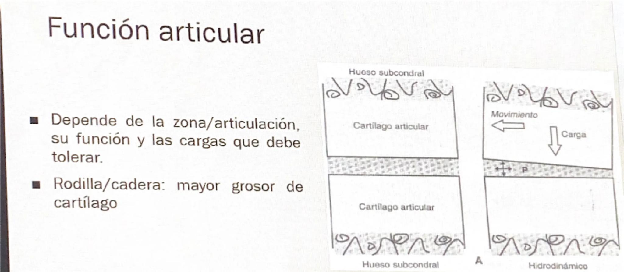 Acrobat
que sigas en Vista protegida. Habilitar edición
9
8
76
S
4
3
210123
Grabar Presentar en Teams
45
67
B
9
10 11 12 13 14 15 16

# Cart