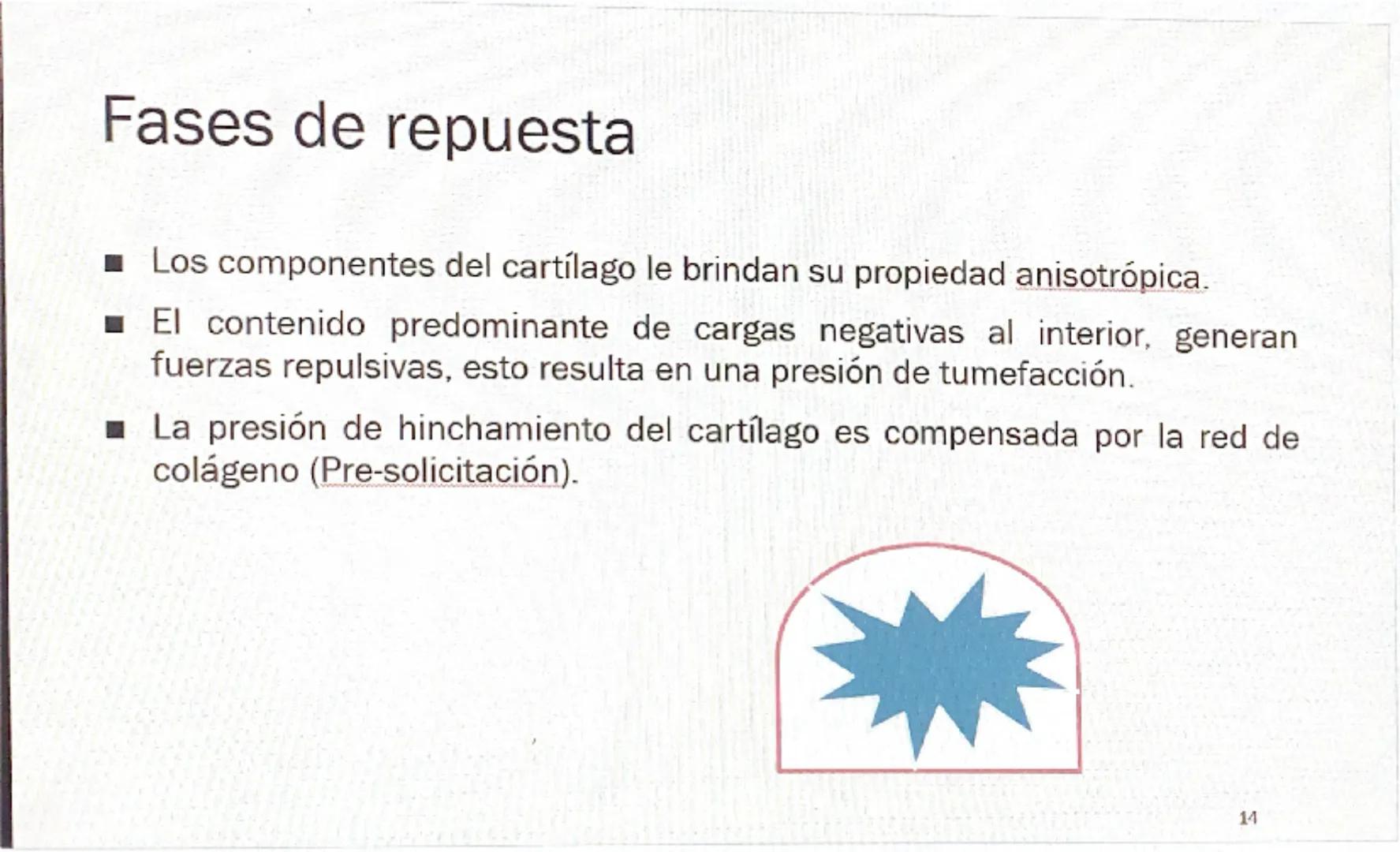 Acrobat
que sigas en Vista protegida. Habilitar edición
9
8
76
S
4
3
210123
Grabar Presentar en Teams
45
67
B
9
10 11 12 13 14 15 16

# Cart