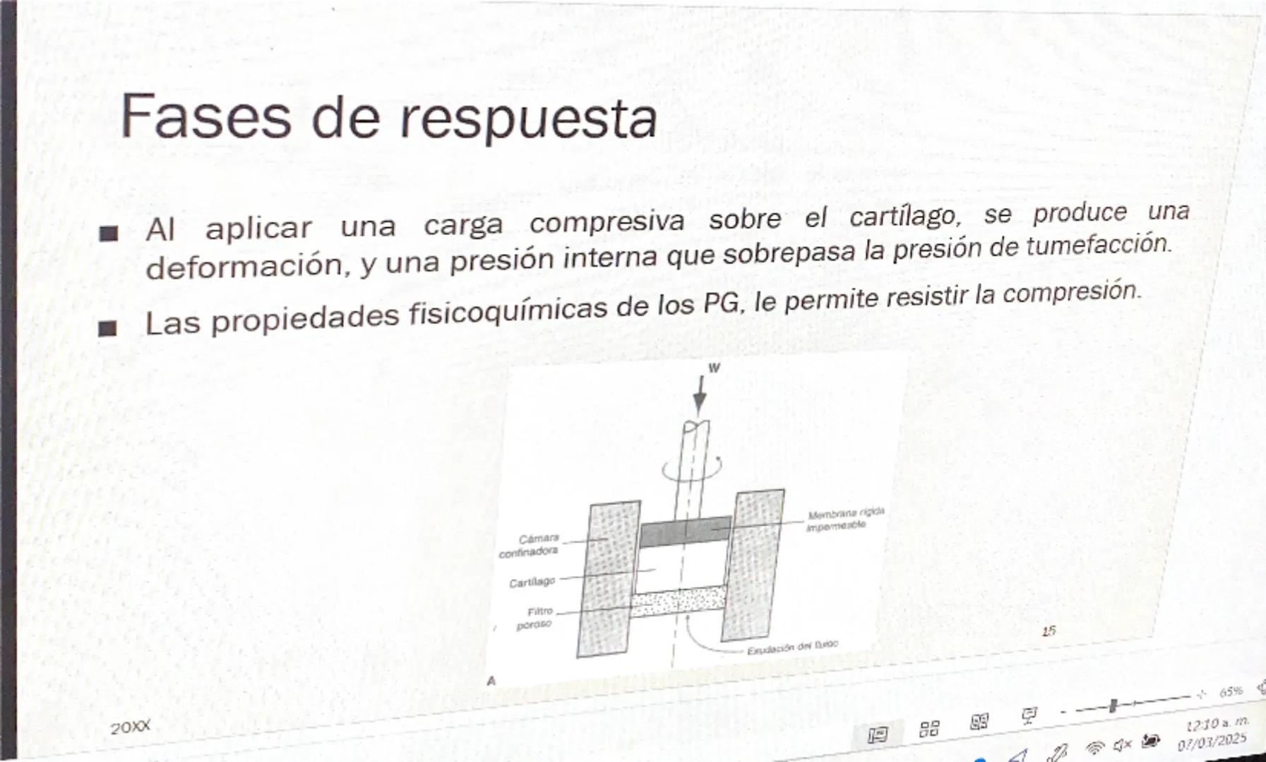 Acrobat
que sigas en Vista protegida. Habilitar edición
9
8
76
S
4
3
210123
Grabar Presentar en Teams
45
67
B
9
10 11 12 13 14 15 16

# Cart