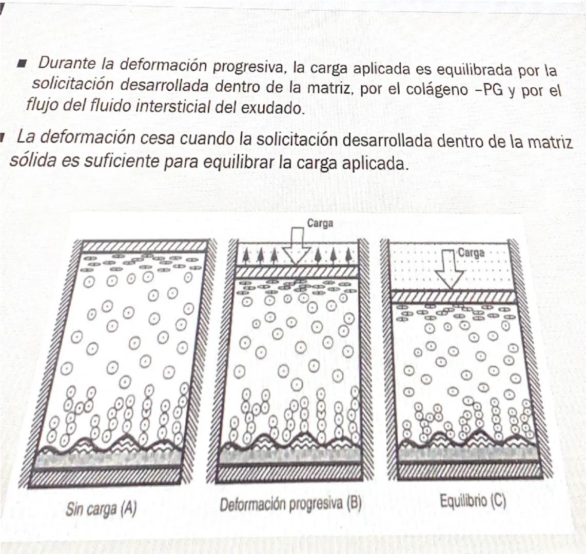 Acrobat
que sigas en Vista protegida. Habilitar edición
9
8
76
S
4
3
210123
Grabar Presentar en Teams
45
67
B
9
10 11 12 13 14 15 16

# Cart