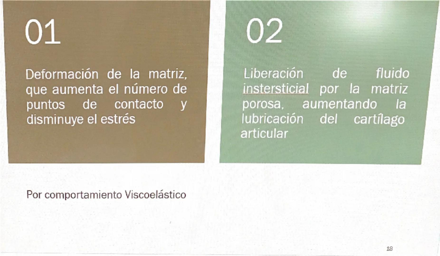 Acrobat
que sigas en Vista protegida. Habilitar edición
9
8
76
S
4
3
210123
Grabar Presentar en Teams
45
67
B
9
10 11 12 13 14 15 16

# Cart