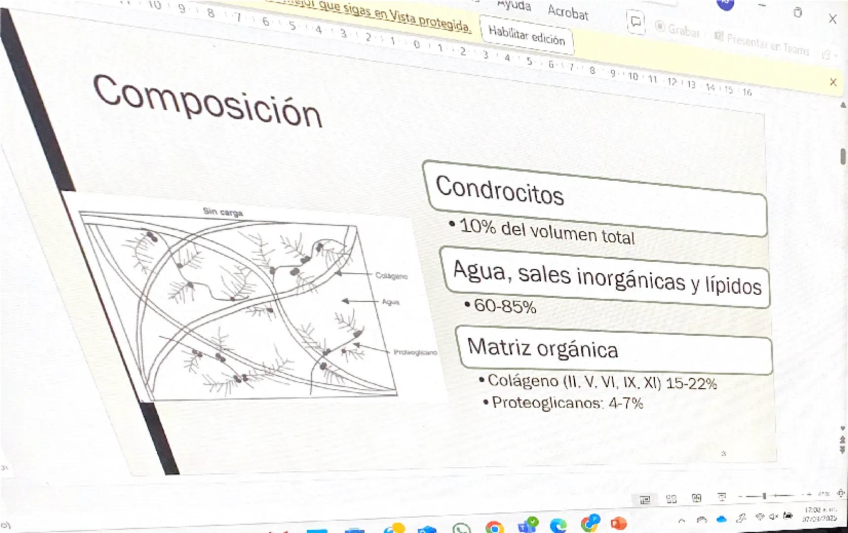 Acrobat
que sigas en Vista protegida. Habilitar edición
9
8
76
S
4
3
210123
Grabar Presentar en Teams
45
67
B
9
10 11 12 13 14 15 16

# Cart