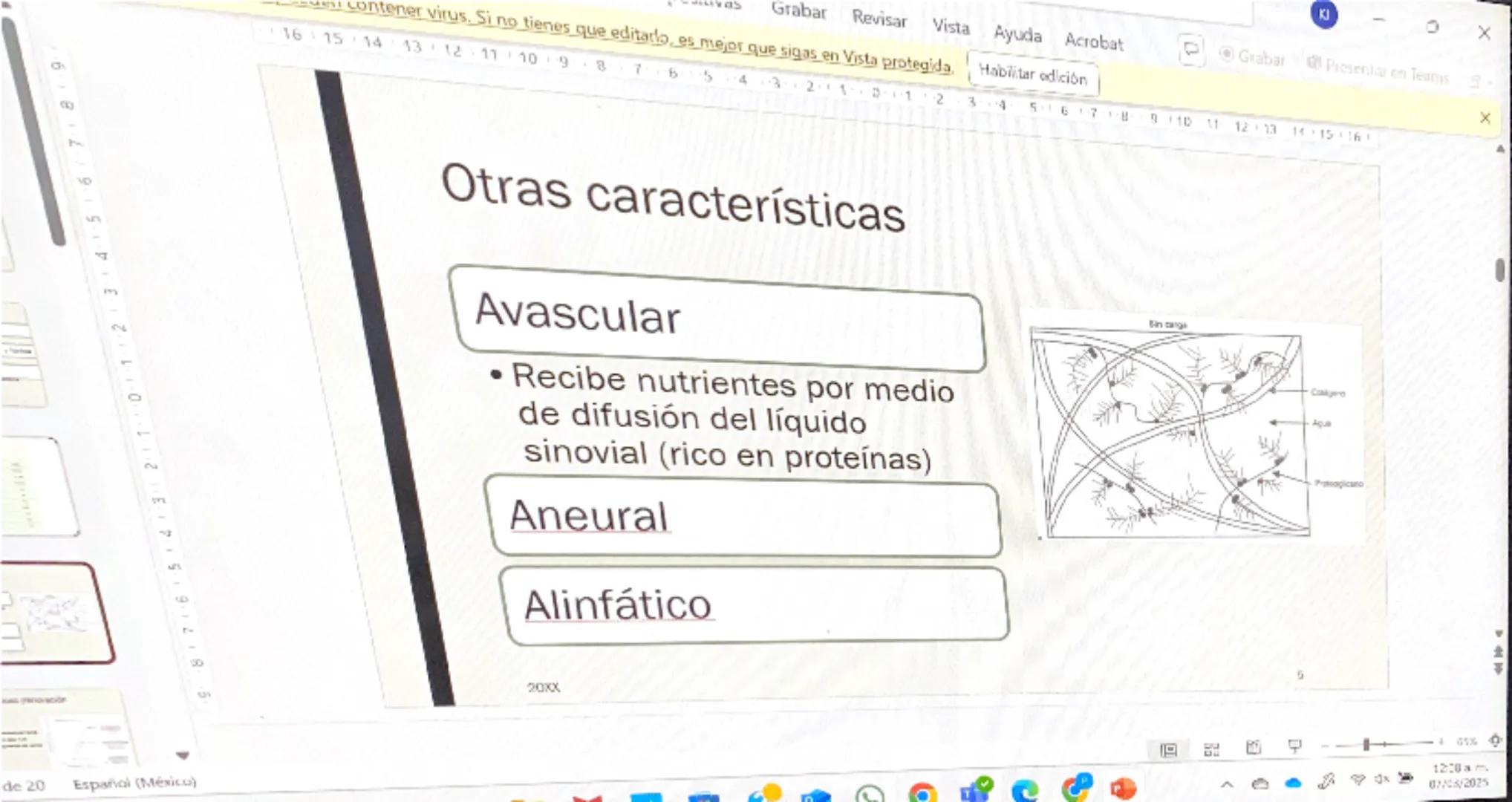 Acrobat
que sigas en Vista protegida. Habilitar edición
9
8
76
S
4
3
210123
Grabar Presentar en Teams
45
67
B
9
10 11 12 13 14 15 16

# Cart