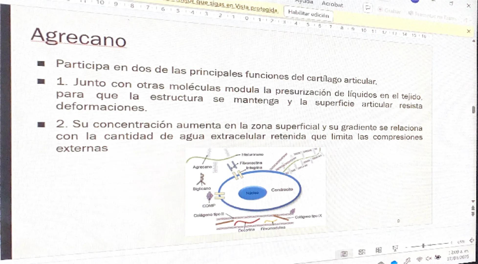 Acrobat
que sigas en Vista protegida. Habilitar edición
9
8
76
S
4
3
210123
Grabar Presentar en Teams
45
67
B
9
10 11 12 13 14 15 16

# Cart