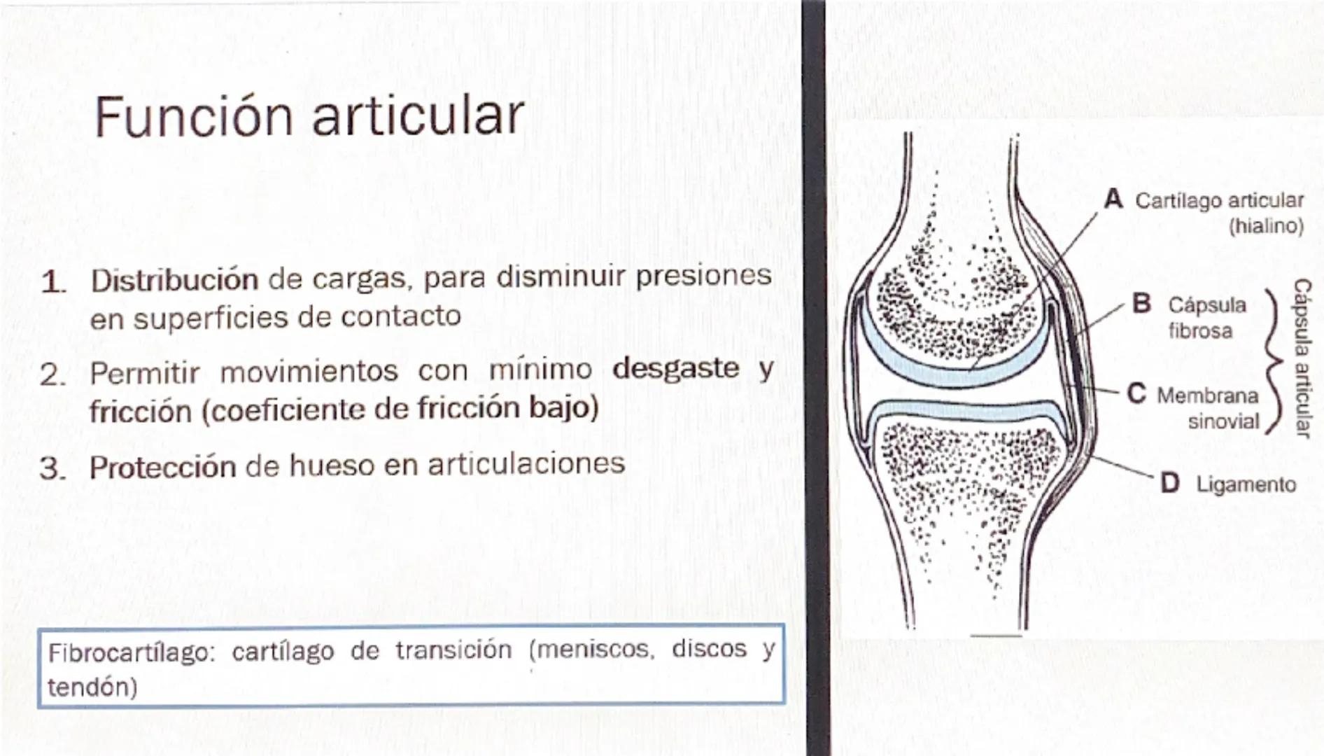 Acrobat
que sigas en Vista protegida. Habilitar edición
9
8
76
S
4
3
210123
Grabar Presentar en Teams
45
67
B
9
10 11 12 13 14 15 16

# Cart