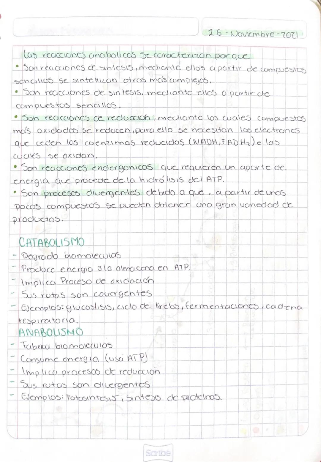 # METABOLISMO

26-Novembre-2021

*   Es el conjunto de todas las recicciones quimicas que se producen
en el interior de las células de un or