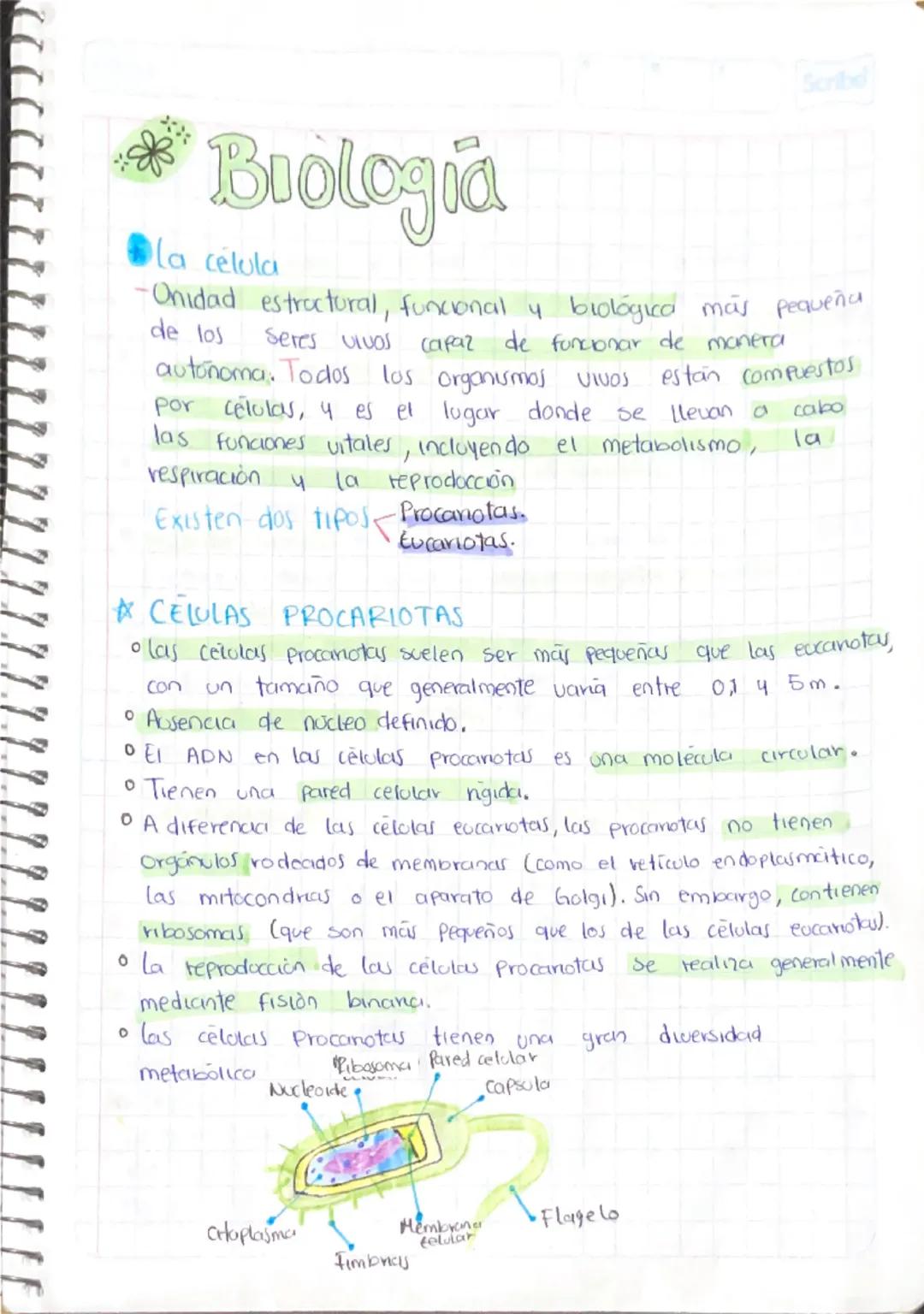 CÉLULAS
Resumen
→Concepto
La celola es el componente basico de todos los seres vivos.
El cuerpo humano está compuesto por billones de célula
