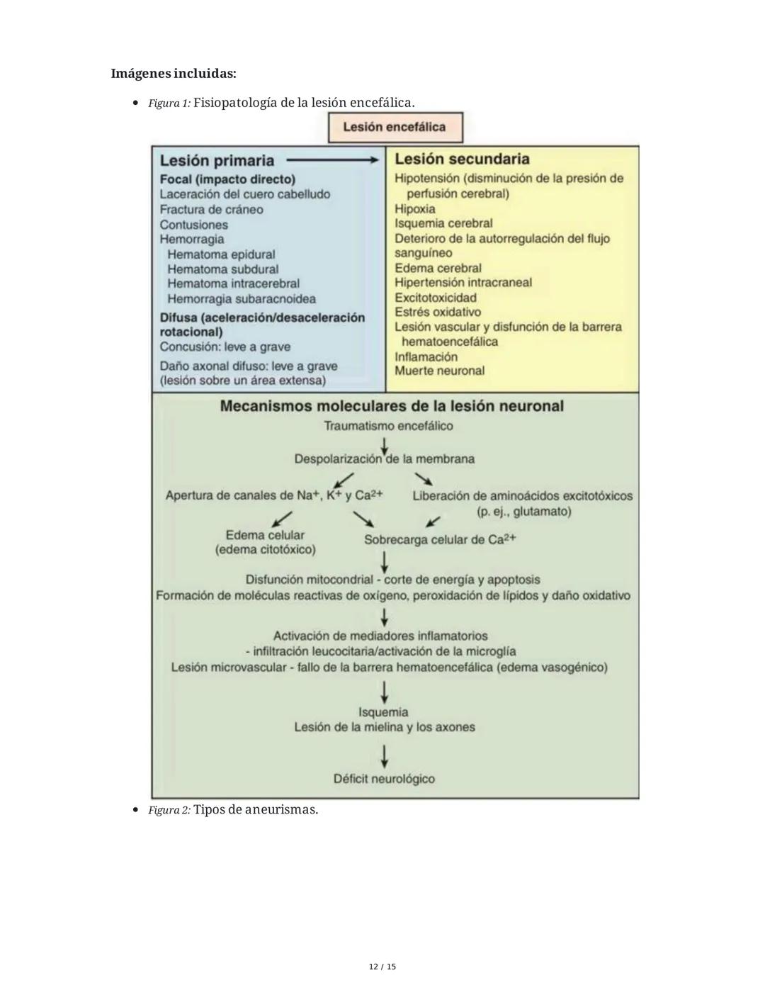 CAPÍTULO 18: Trastornos Transitorios del SNC, SNP y de la
Unión Neuromuscular
1. Trastornos del Sistema Nervioso Central
1.1 Traumatismo Enc