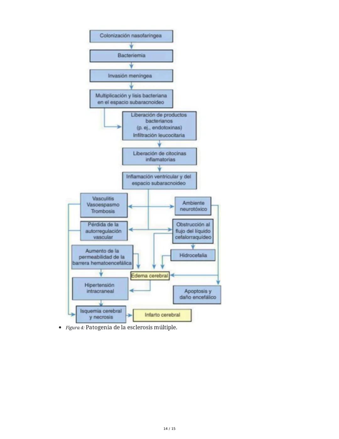 CAPÍTULO 18: Trastornos Transitorios del SNC, SNP y de la
Unión Neuromuscular
1. Trastornos del Sistema Nervioso Central
1.1 Traumatismo Enc