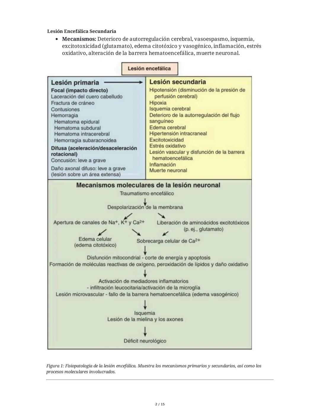 CAPÍTULO 18: Trastornos Transitorios del SNC, SNP y de la
Unión Neuromuscular
1. Trastornos del Sistema Nervioso Central
1.1 Traumatismo Enc