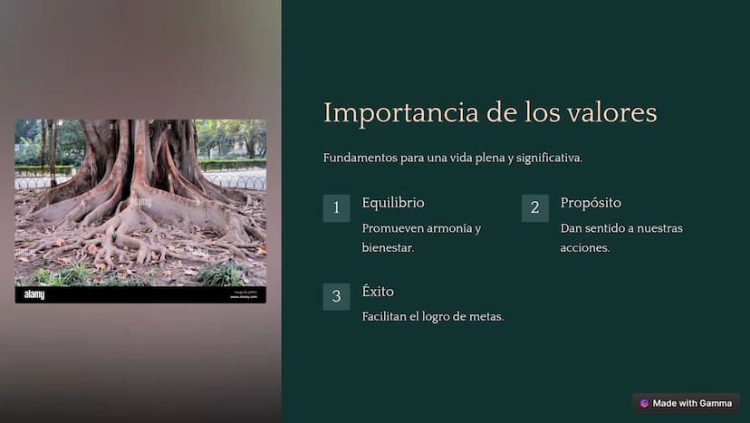 ¿Qué son los valores?
Principios que definen lo que es correcto e importante.
Creencias
Moral
Guían nuestras decisiones.
Influyen en nuestro