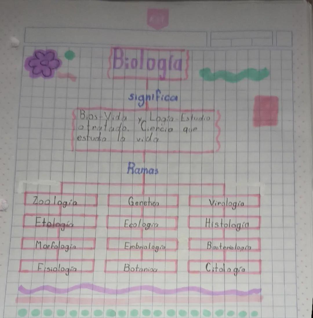 Biologia
significa
Bips-Vida y Logia Estudio
otratado. Ciencia que
estudia la vida

Ramas

Zoología
Genetica
Virología

Etología
Ecologia
Hi
