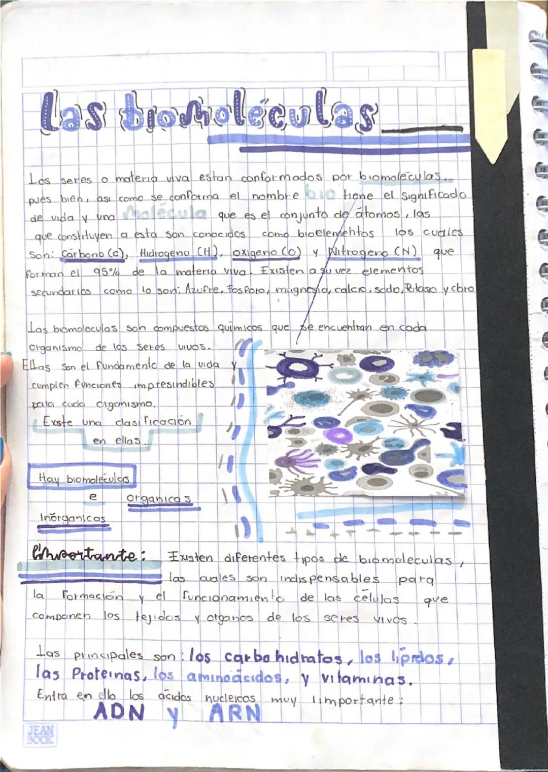 # Las bromoléculas

Los seres o materia viva estan conformados por biomoleculas..
pues biên, asi como se confotima el nombre tiene el signif