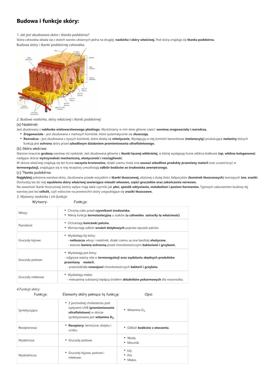 # Budowa i funkcje skóry:

1. Jak jest zbudowana skóra i tkanka podskórna?
Skóra człowieka składa się z dwóch warstw ułożonych jedna na drug