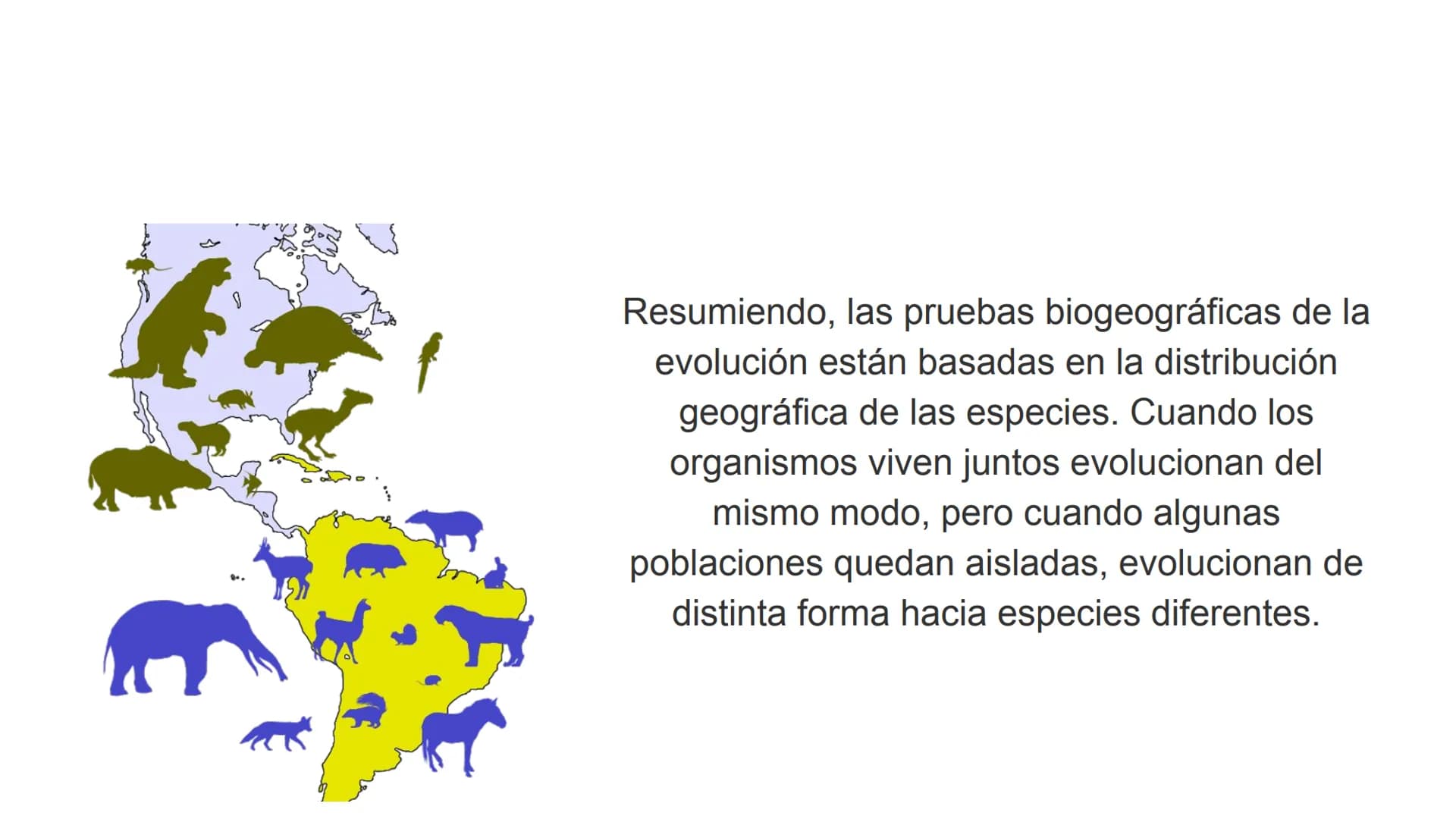 Pruebas paleontológicas
¿Qué es?
El estudio de los fósiles nos da
una idea muy directa de los
cambios que sufrieron las
especies al transfor