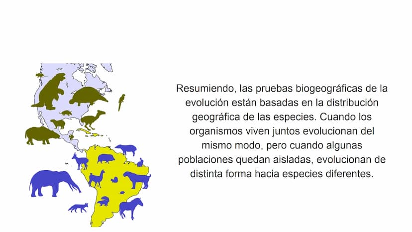 Pruebas paleontológicas
¿Qué es?
El estudio de los fósiles nos da
una idea muy directa de los
cambios que sufrieron las
especies al transfor