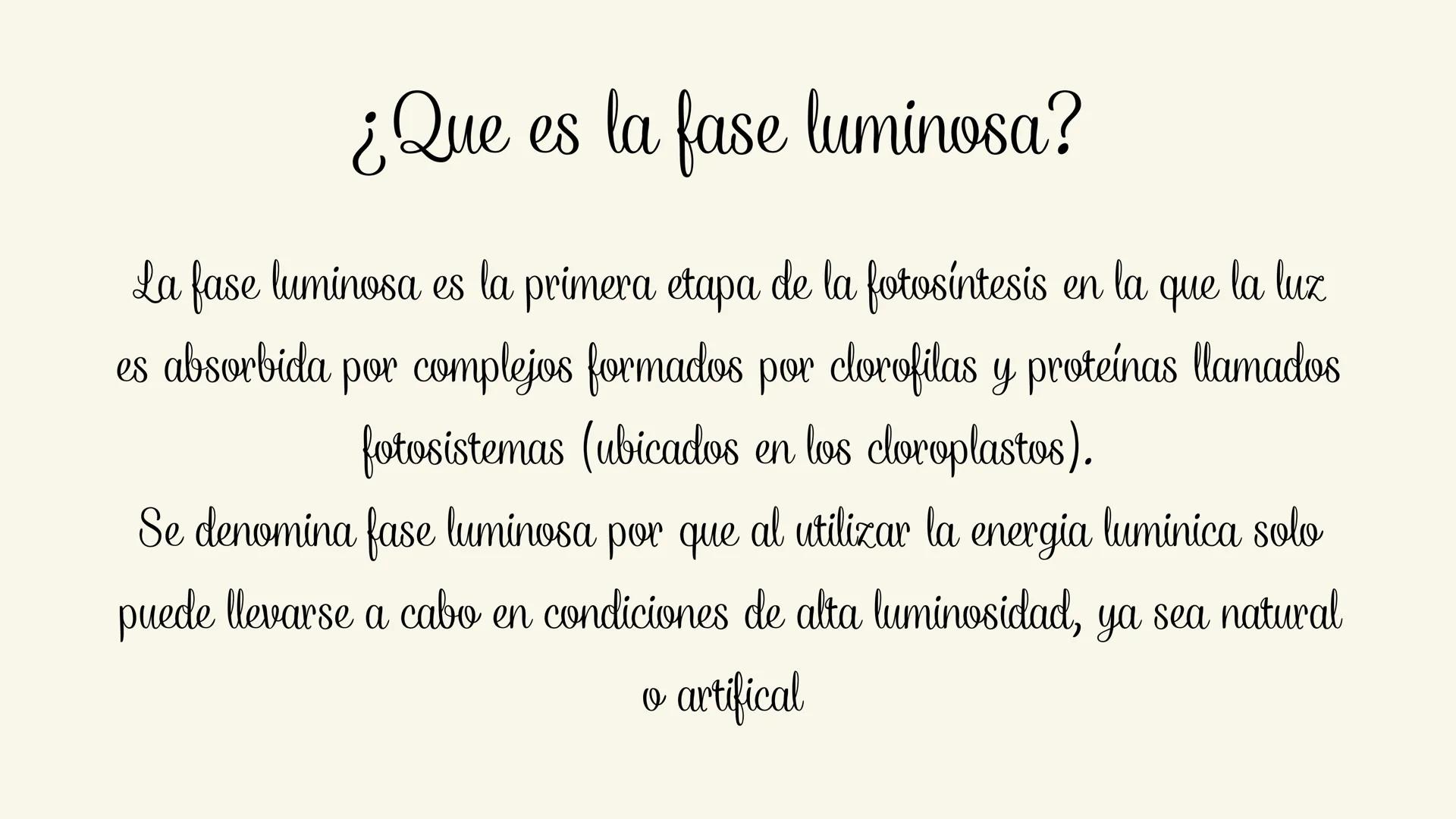 Etapas:

Fotoexitación de la clorofila

Fotolisis del agua

Fotoreducción de NADP

Fotofosforilaciión # ¿Que es la fase luminosa?

La fase l