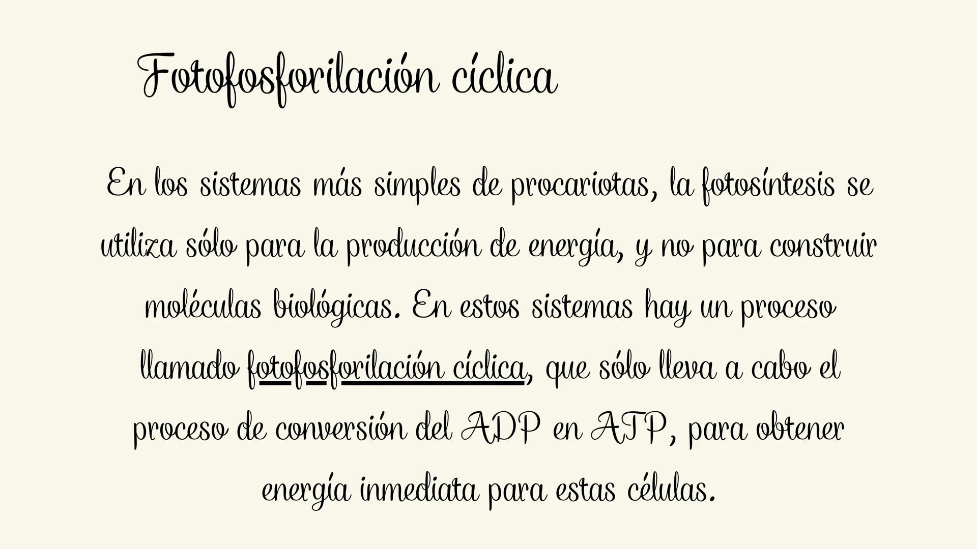 Etapas:

Fotoexitación de la clorofila

Fotolisis del agua

Fotoreducción de NADP

Fotofosforilaciión # ¿Que es la fase luminosa?

La fase l
