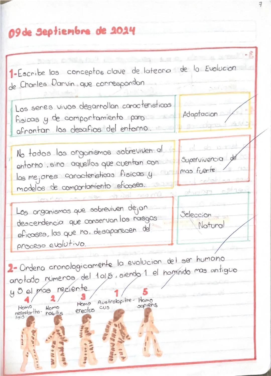 7
09 de septiembre de 2024
1-Escribe los conceptos clave de lateoria de lo Evolucion
de Charles Darvin que correspondan
Los seres vivos desa