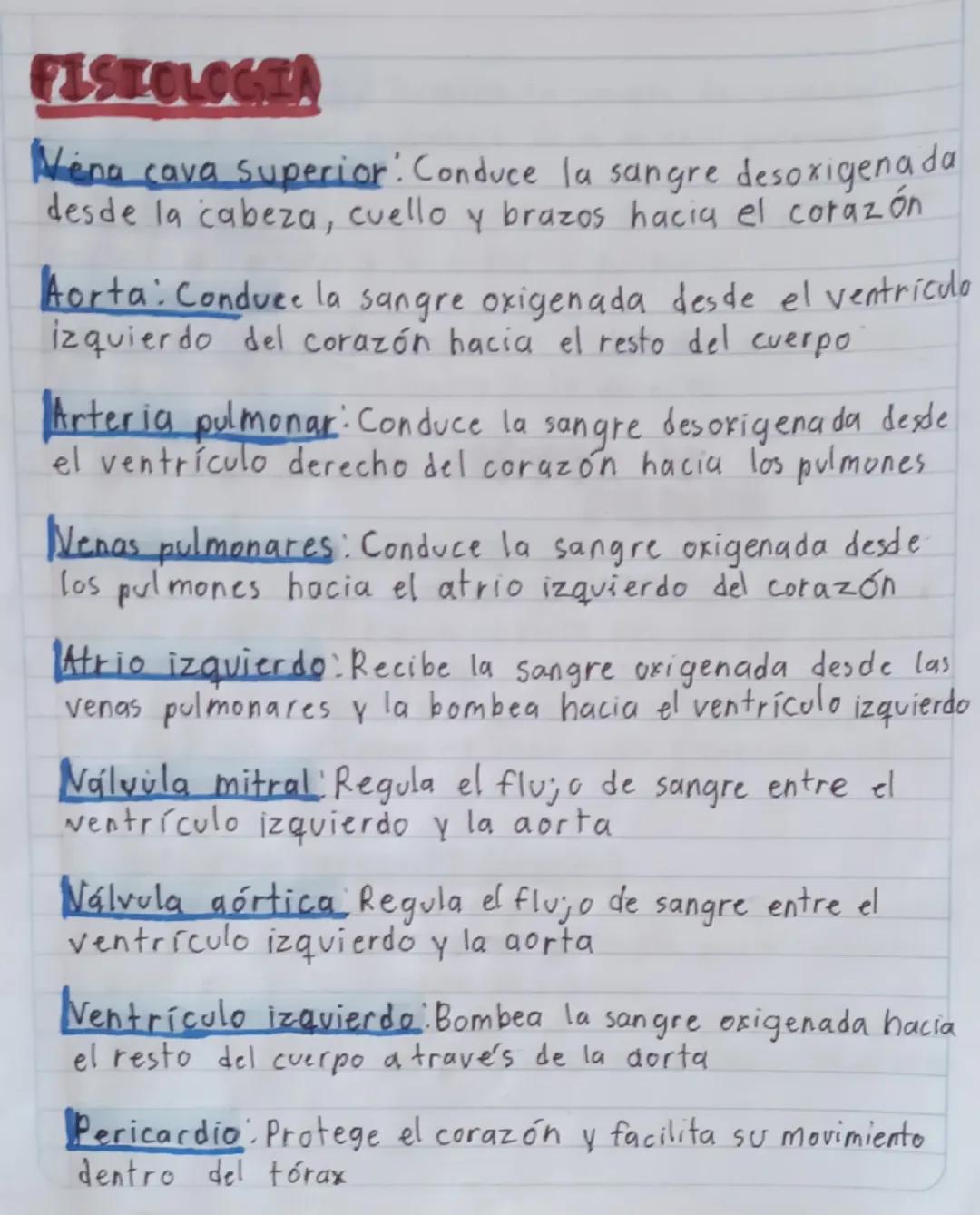 SISTEMA
J12
CIRCULATORIC
Vena cava superior
Arota
Auricula
derecha
Tronco pulmonar
Válvula
tricuspide
Válvula pulmonar
Arteria
Pulmonar
Vena