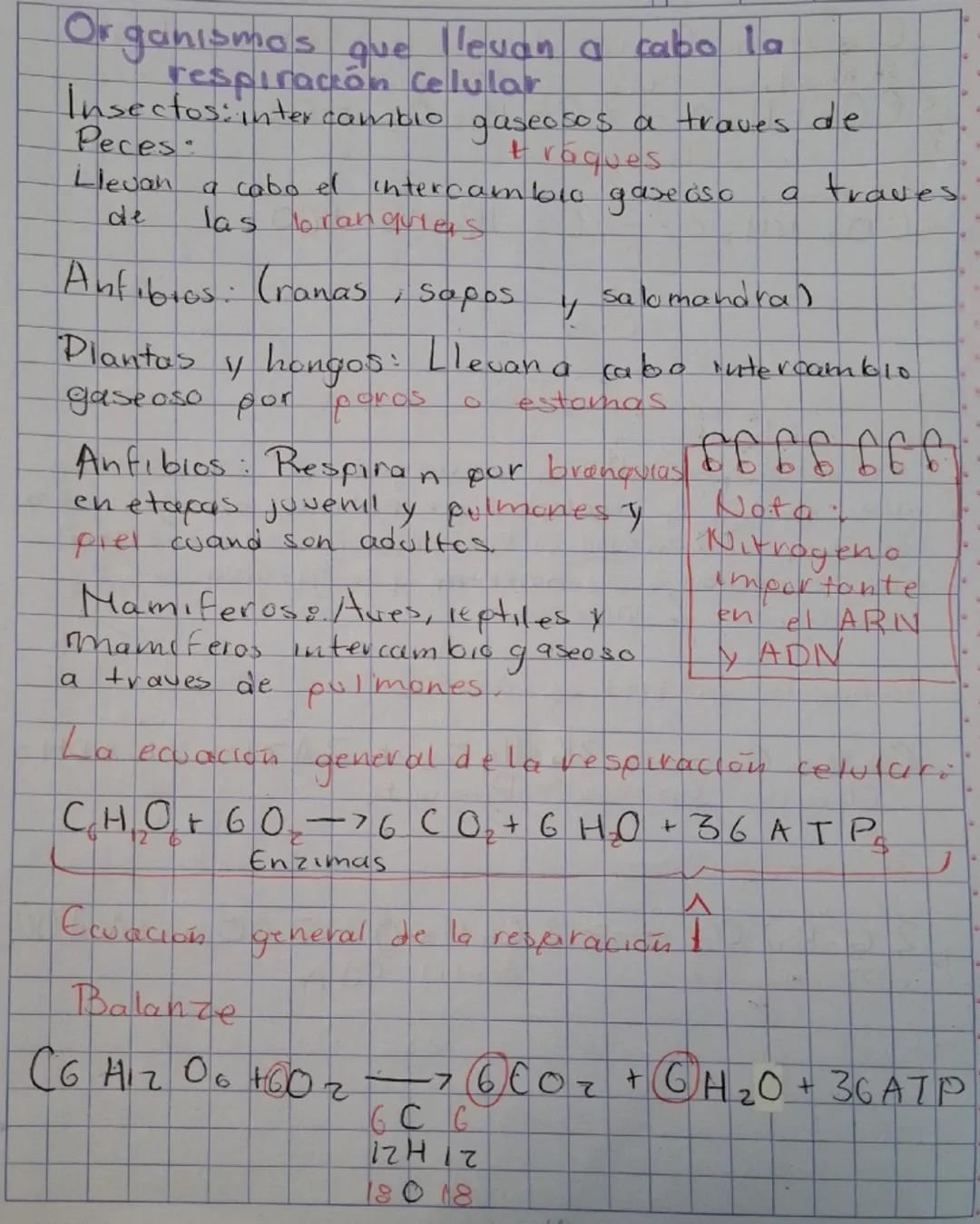 Respiración!!

1. Aerobica 2 Anaerobia
Requiere Oz No requlere Or
(oxigeno) Loxigeno
Sujetas: Proposito Sojetos
- Plantas Obtener • Bacteria