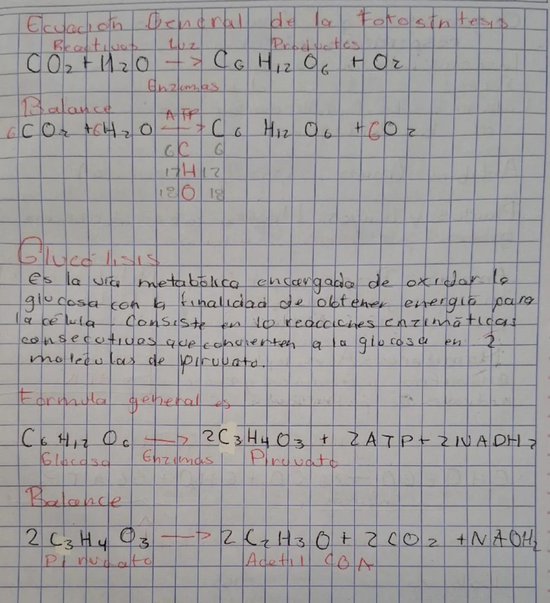 Respiración!!

1. Aerobica 2 Anaerobia
Requiere Oz No requlere Or
(oxigeno) Loxigeno
Sujetas: Proposito Sojetos
- Plantas Obtener • Bacteria