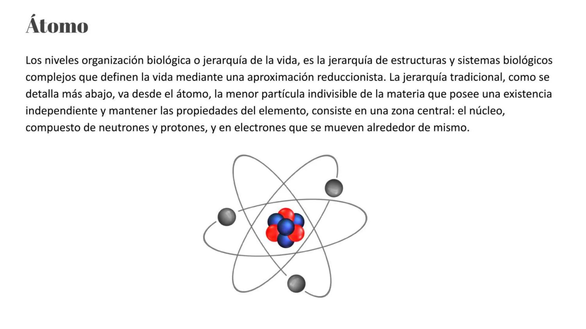 # Átomo

Los niveles organización biológica o jerarquía de la vida, es la jerarquía de estructuras y sistemas biológicos
complejos que defin