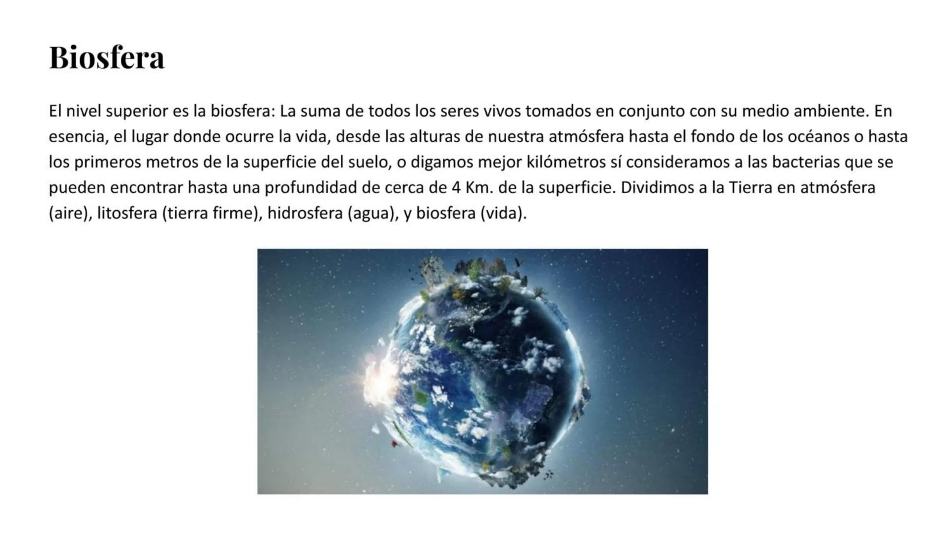 # Átomo

Los niveles organización biológica o jerarquía de la vida, es la jerarquía de estructuras y sistemas biológicos
complejos que defin