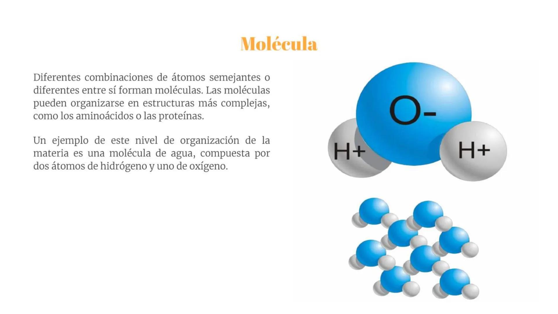 # Átomo

Los niveles organización biológica o jerarquía de la vida, es la jerarquía de estructuras y sistemas biológicos
complejos que defin