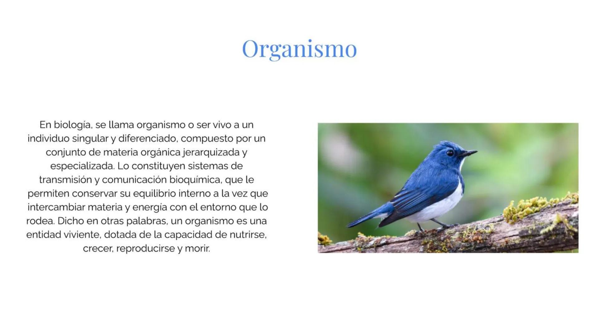 # Átomo

Los niveles organización biológica o jerarquía de la vida, es la jerarquía de estructuras y sistemas biológicos
complejos que defin