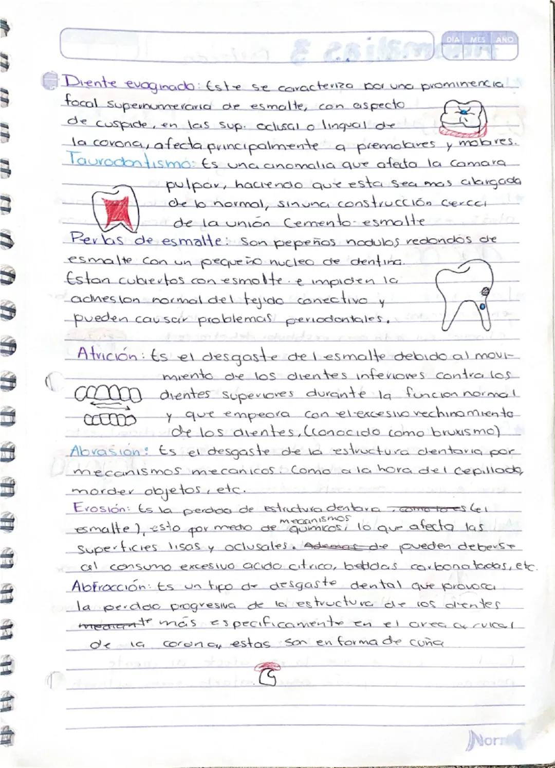 # Anomalias 1

anomalias
de numero.

Anodoncia nos habla Sobre la falta de piezas dentales, esto
-puede ser de forma pacial completa, en la 