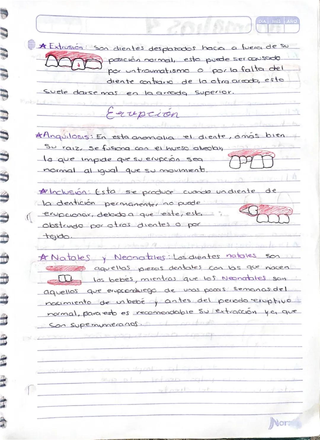# Anomalias 1

anomalias
de numero.

Anodoncia nos habla Sobre la falta de piezas dentales, esto
-puede ser de forma pacial completa, en la 