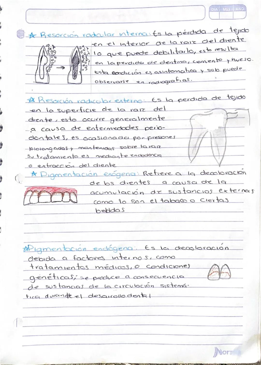 # Anomalias 1

anomalias
de numero.

Anodoncia nos habla Sobre la falta de piezas dentales, esto
-puede ser de forma pacial completa, en la 