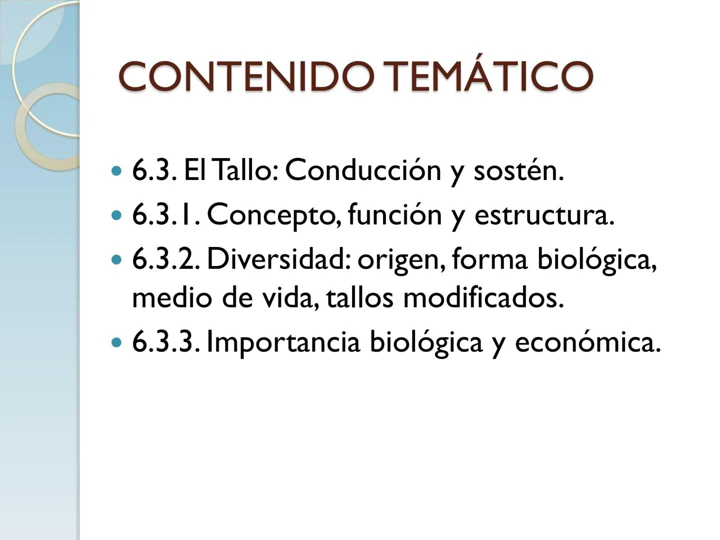 # TALLO # CONTENIDO TEMÁTICO

*   6.3. El Tallo: Conducción y sostén.
*   6.3.1. Concepto, función y estructura.
*   6.3.2. Diversidad: orig