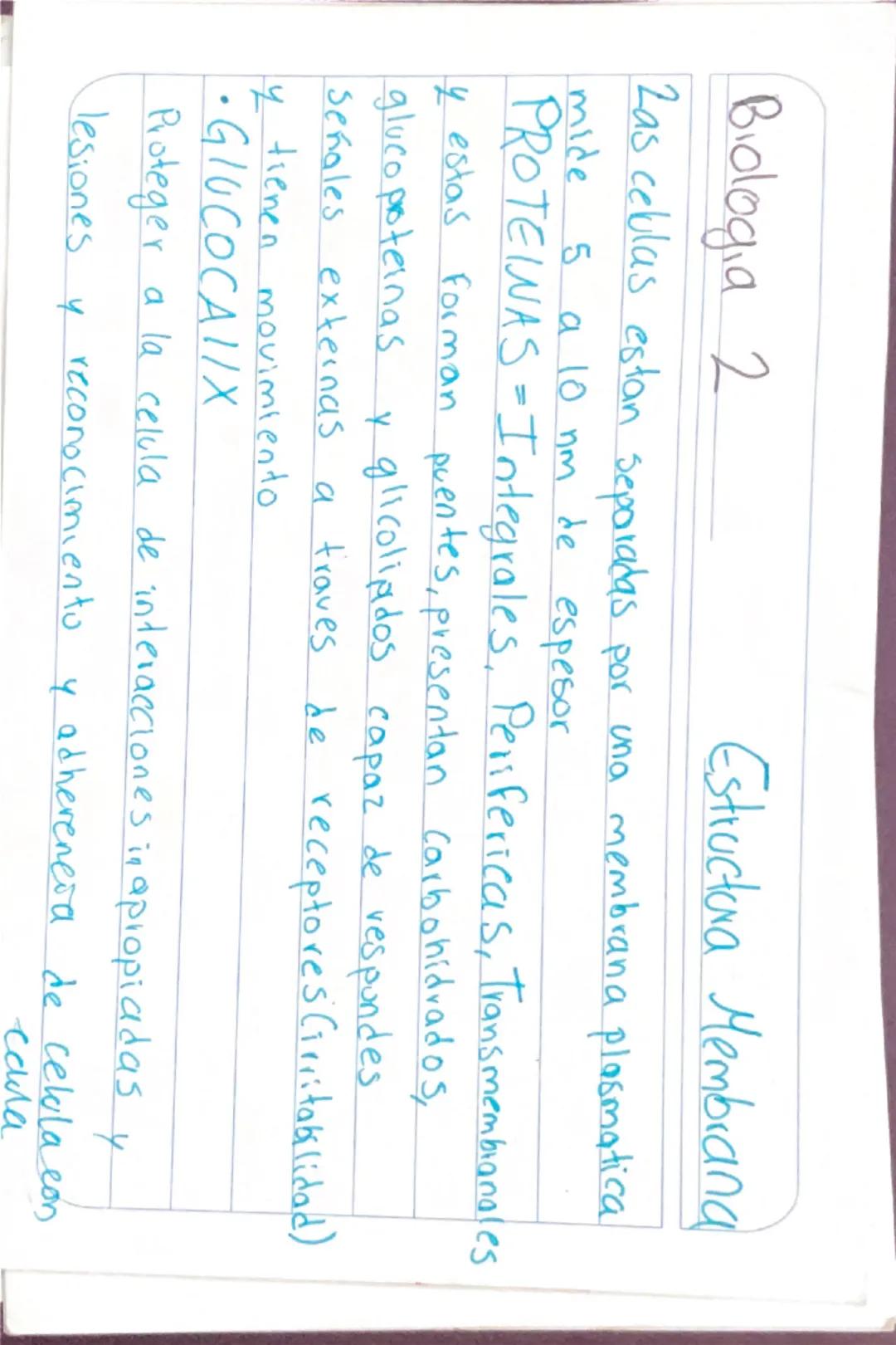 Biologia 2
Capsula
Capsula
bacteria
•Pegajosa externa
•Compuesta -glicoproteinas y polisacaridos
•Cilias como desplazamiento
•Protege
Union 